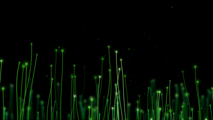 超宽屏植物生长