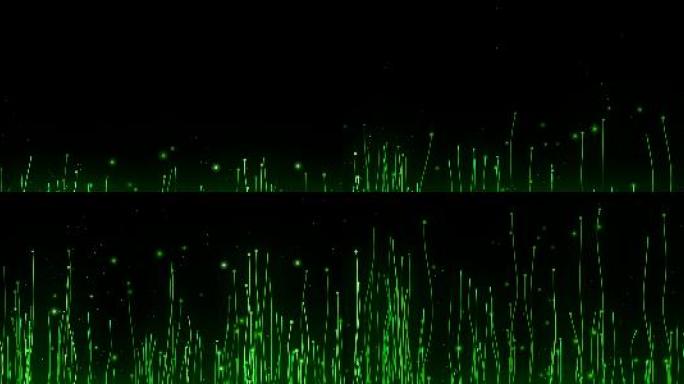 超宽屏植物生长