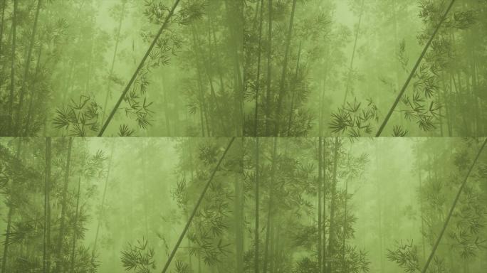 竹林竹子森林雾气树烟雾缭绕清