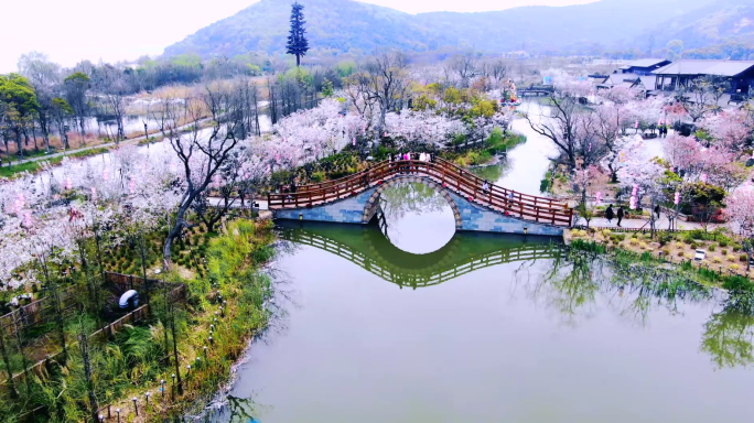 航拍灵山大佛拈花湾风景区