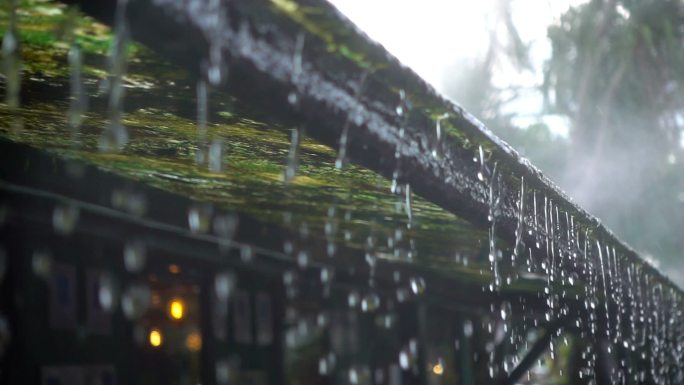 雨滴从苔藓屋顶洒下