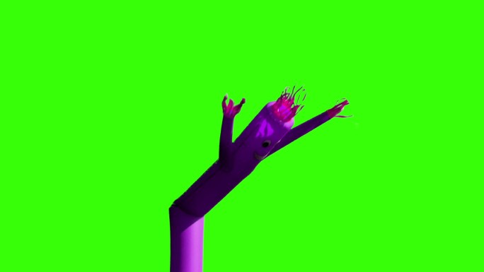 在绿色屏幕背景下一个紫色挥舞着手臂的管子