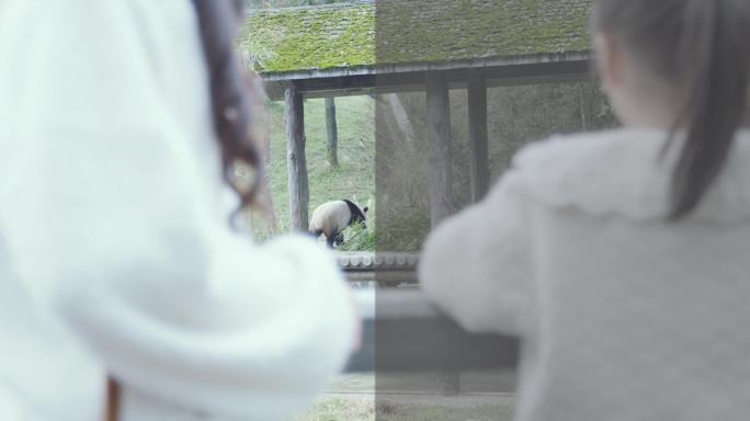 熊猫+人看熊猫背影