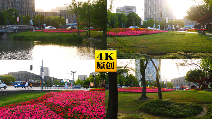 4K原创)城市绿地草坪花坛花海鲜花树林