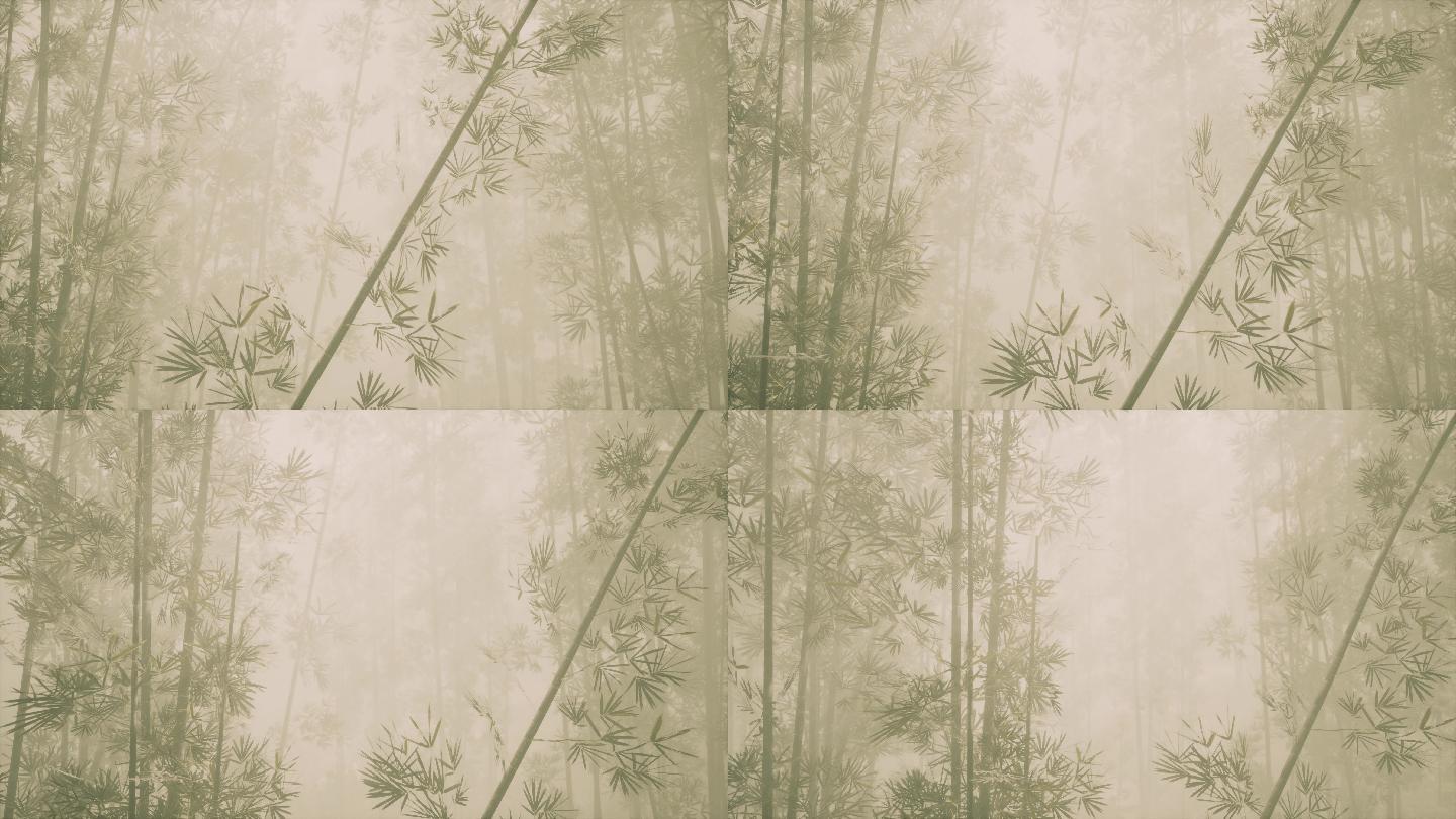 雾气竹林