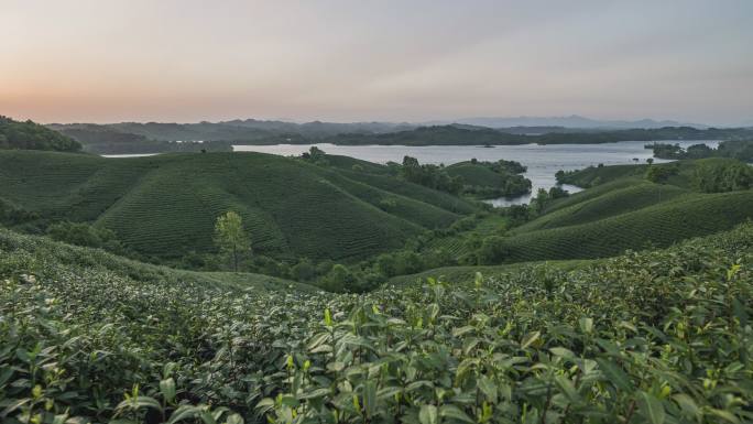 4K河南信阳南湾湖茶山日出风光延时