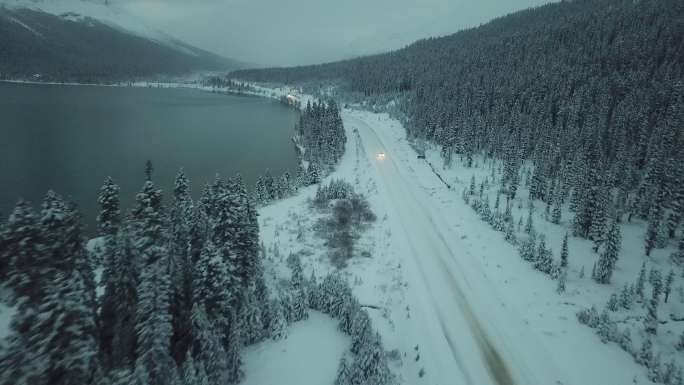 公路沿雪地行驶冬季针叶树常绿树