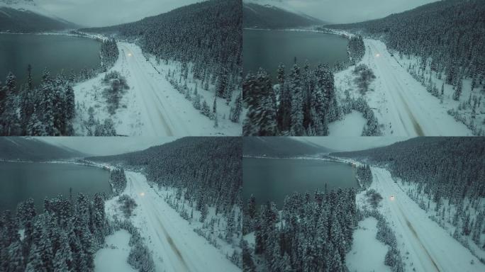 公路沿雪地行驶冬季针叶树常绿树