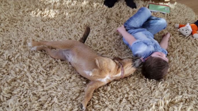 一个小男孩和他的狗一起在地板上打滚