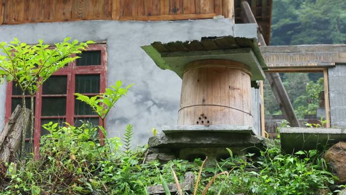 中华蜂蜜蜂蜂桶采蜜乡村大山农业养殖