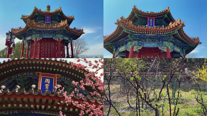 原创拍摄北京春天景山公园优美风光