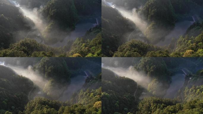 4k雾漫山谷