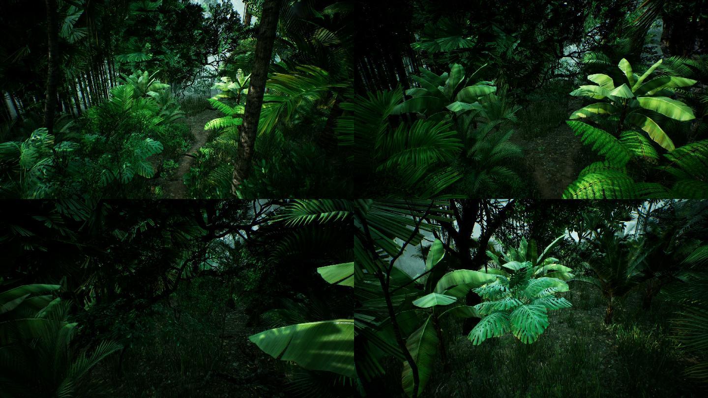 三维热带丛林3d森林森林穿梭丛林穿梭