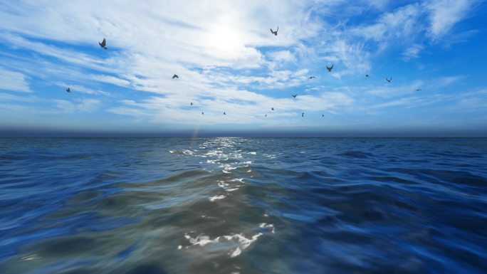 4K海鸥海面海洋蓝天白云