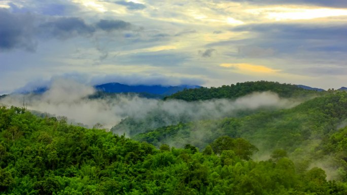 热带雨林的晨雾秦岭天空延时山雾