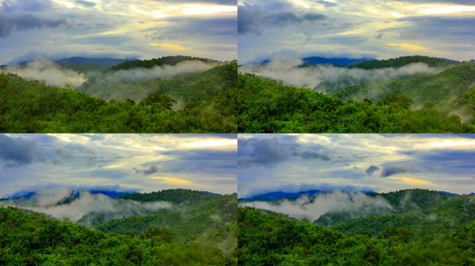 热带雨林的晨雾秦岭天空延时山雾