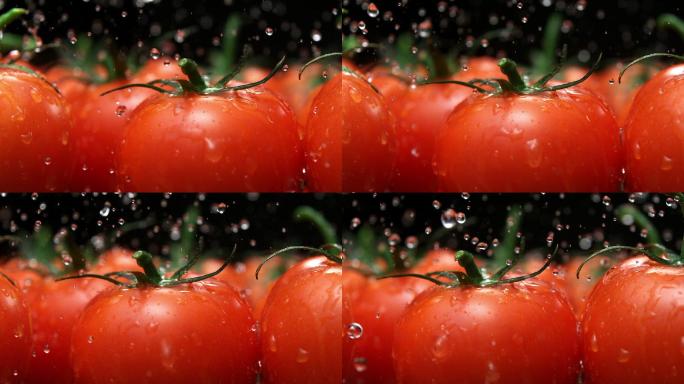 水溅在番茄上有机电商视频创意素材社区团购