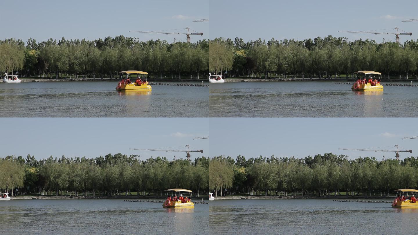 公园湖中游人划船游玩