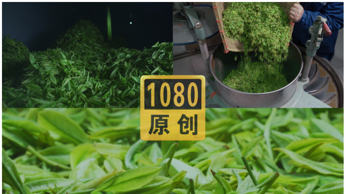 原创高山绿茶红茶制作流程