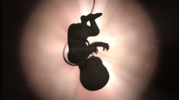 胚胎妇幼保健素材胎医疗卫生行业