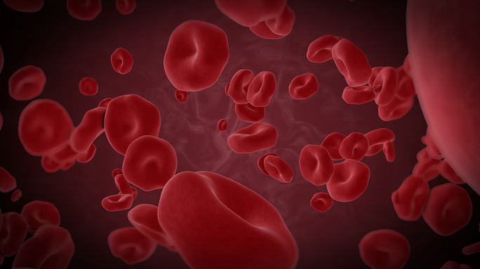 红细胞在血管中流动