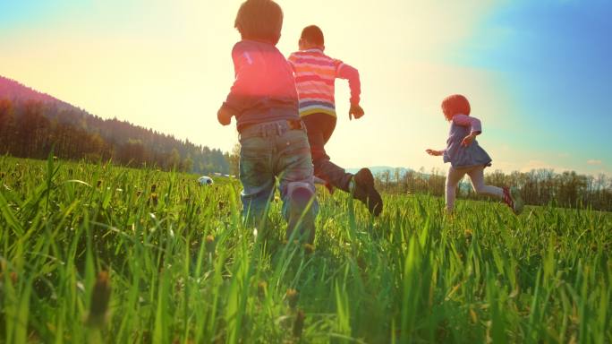 在阳光明媚的草地上，孩子们在追球
