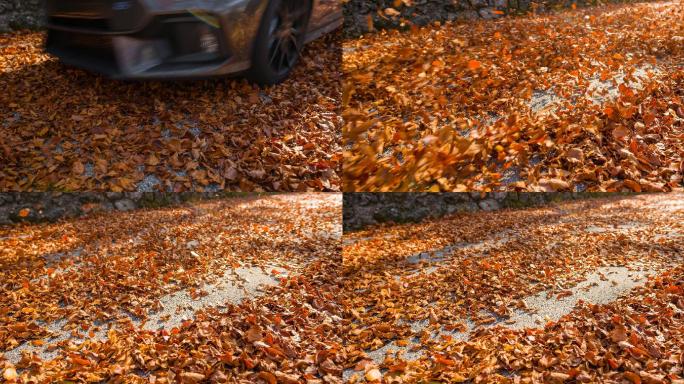 秋天在树叶覆盖的路上开车