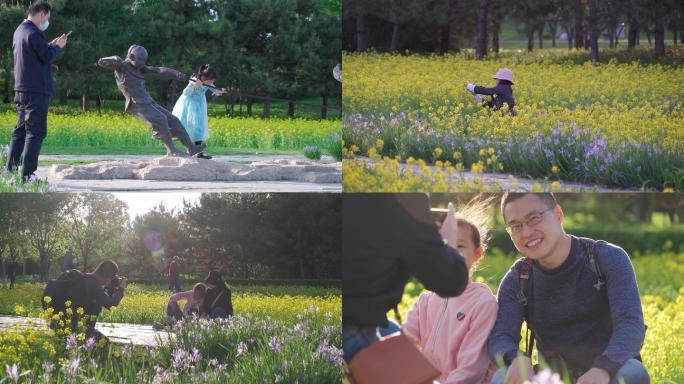 【4K】公园里游人与油菜花