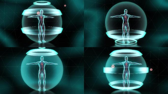 人体防御系统医学扫描生物医学动画全息图