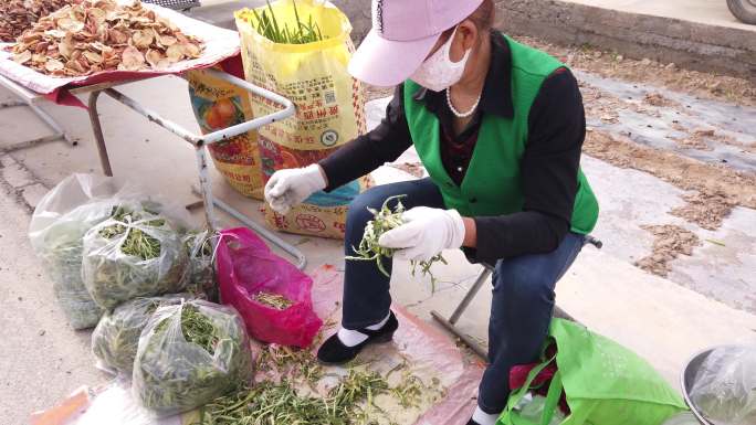 挖野菜卖的农村妇女
