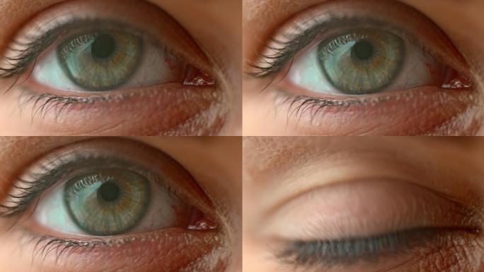 蓝色和淡褐色眼睛睁开和眨眼