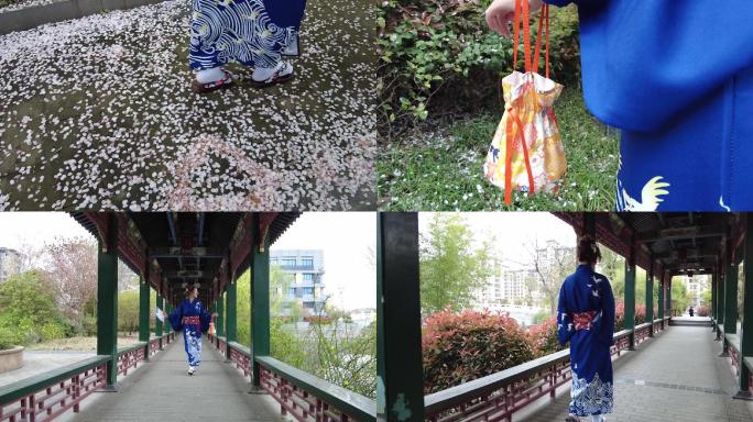 日本和服模特樱花写真2021.3