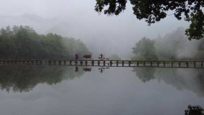 农耕农夫水牛小桥美景意境