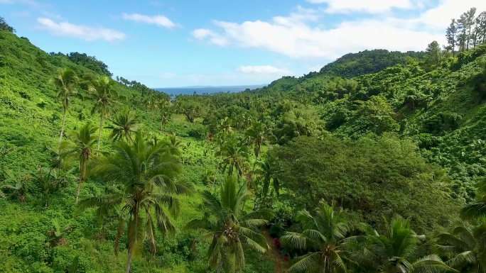 空中斐济丛林岛屿瀑布自然