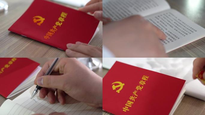 党员学习共产党章程廉洁自律用手抚摸党徽