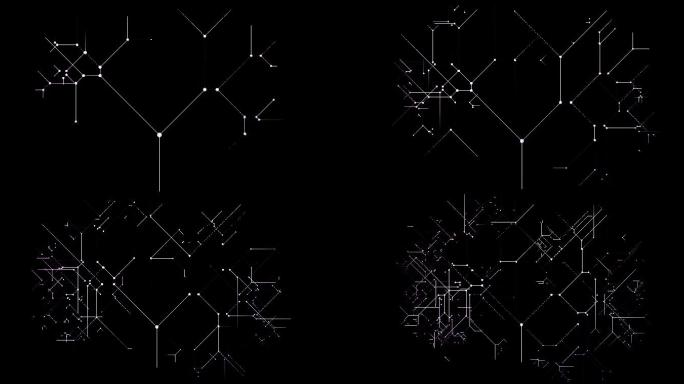 信息网络数字营销