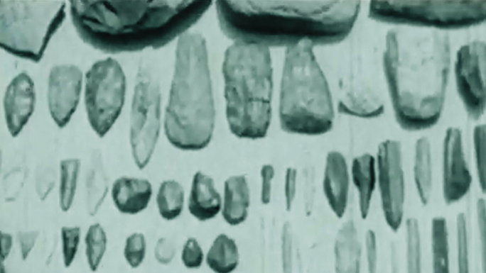 史前人类 石器 化石 考古挖掘 20年代