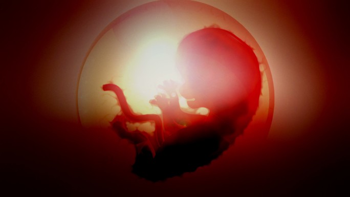 胎儿动画医学视频背景