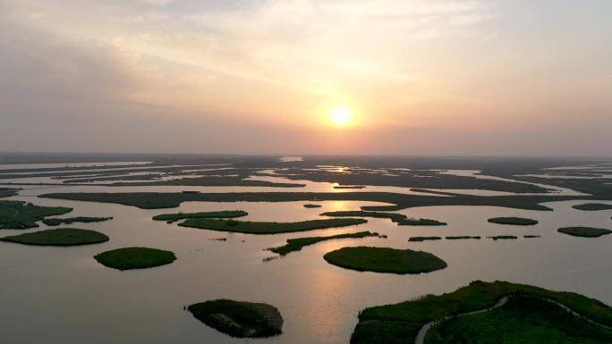 盐城丹顶鹤湿地日出