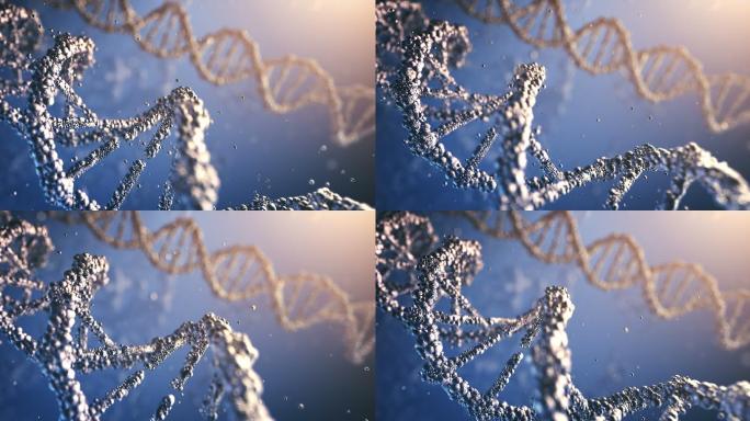 高度详细的DNA（多色）-环