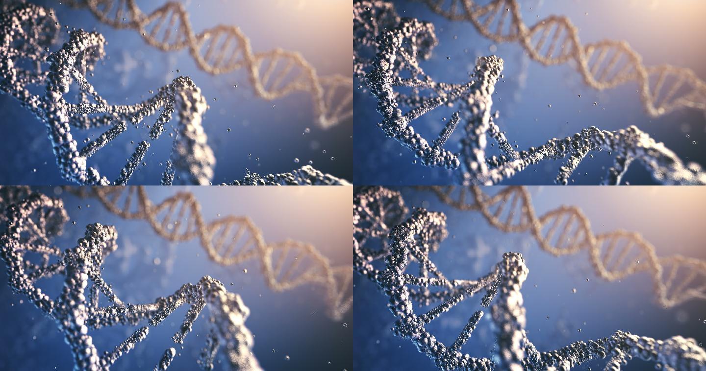 高度详细的DNA（多色）-环