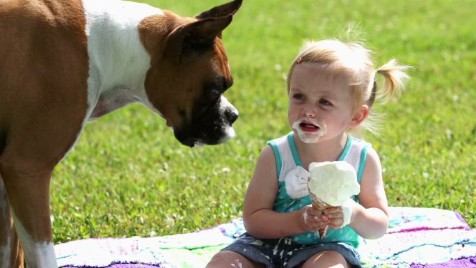 狗吃冰淇淋
