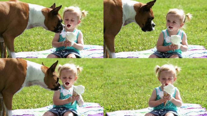 狗吃冰淇淋