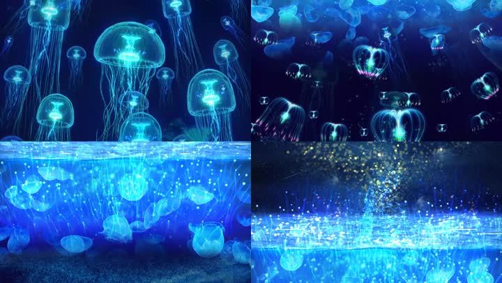 海底世界、水母、生物