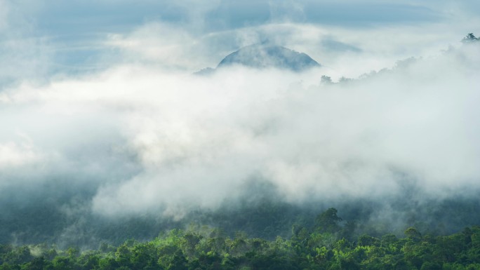 云雾缭绕的深林风光风景美景景观景色云海晨