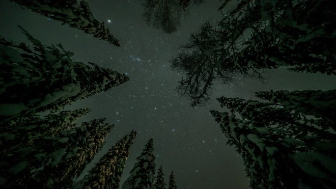 森林上空星星的时空