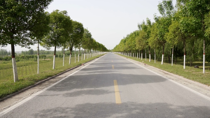 4K乡村道路黄河大堤路