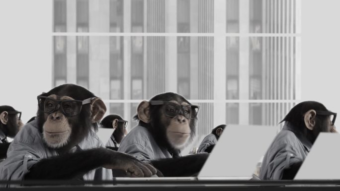 猴子业务团队黑猩猩业务团队商业金融恶作剧