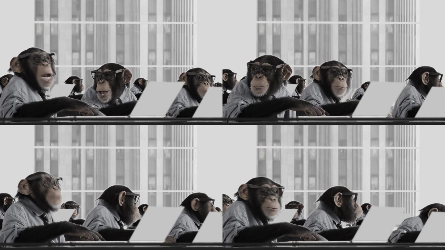 猴子业务团队黑猩猩业务团队商业金融恶作剧