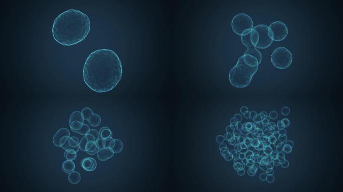 细胞分裂-有丝分裂和生殖的概念